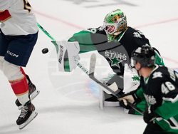 Panthers Stars Hockey