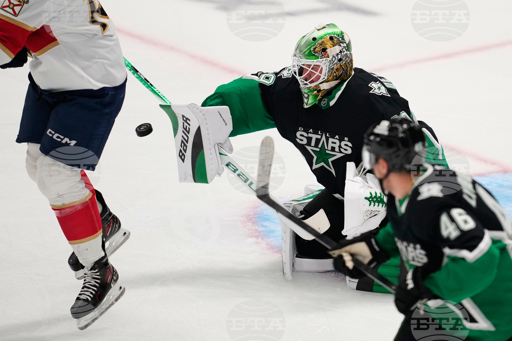 Panthers Stars Hockey