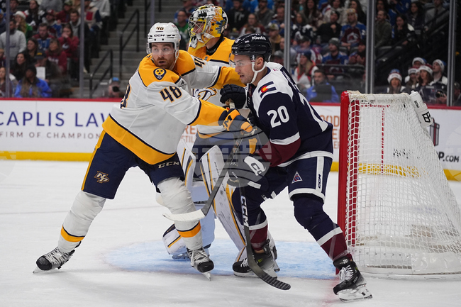 Predators Avalanche Hockey