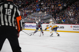 Predators Avalanche Hockey