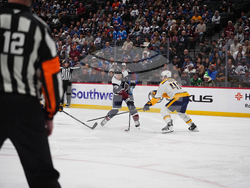 Predators Avalanche Hockey