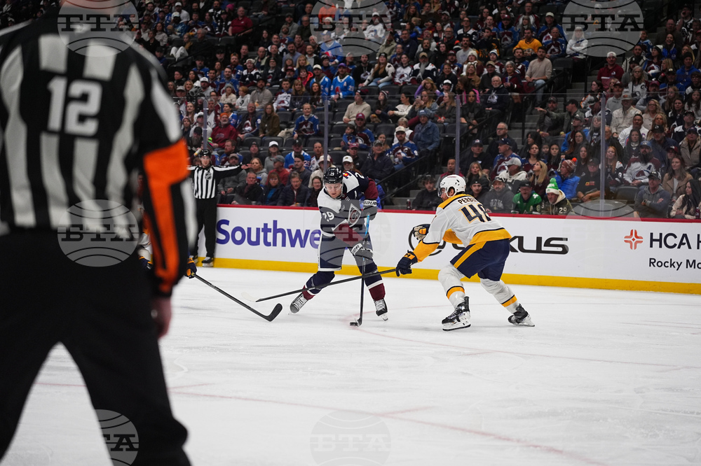 Predators Avalanche Hockey