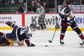 Predators Avalanche Hockey