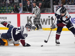 Predators Avalanche Hockey