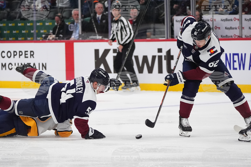 Predators Avalanche Hockey