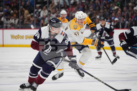 Predators Avalanche Hockey