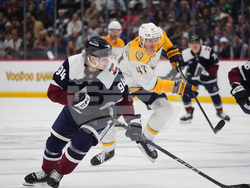 Predators Avalanche Hockey