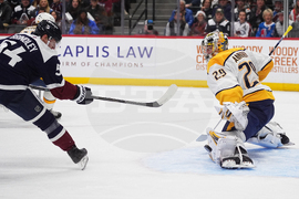 Predators Avalanche Hockey