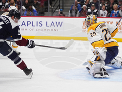 Predators Avalanche Hockey