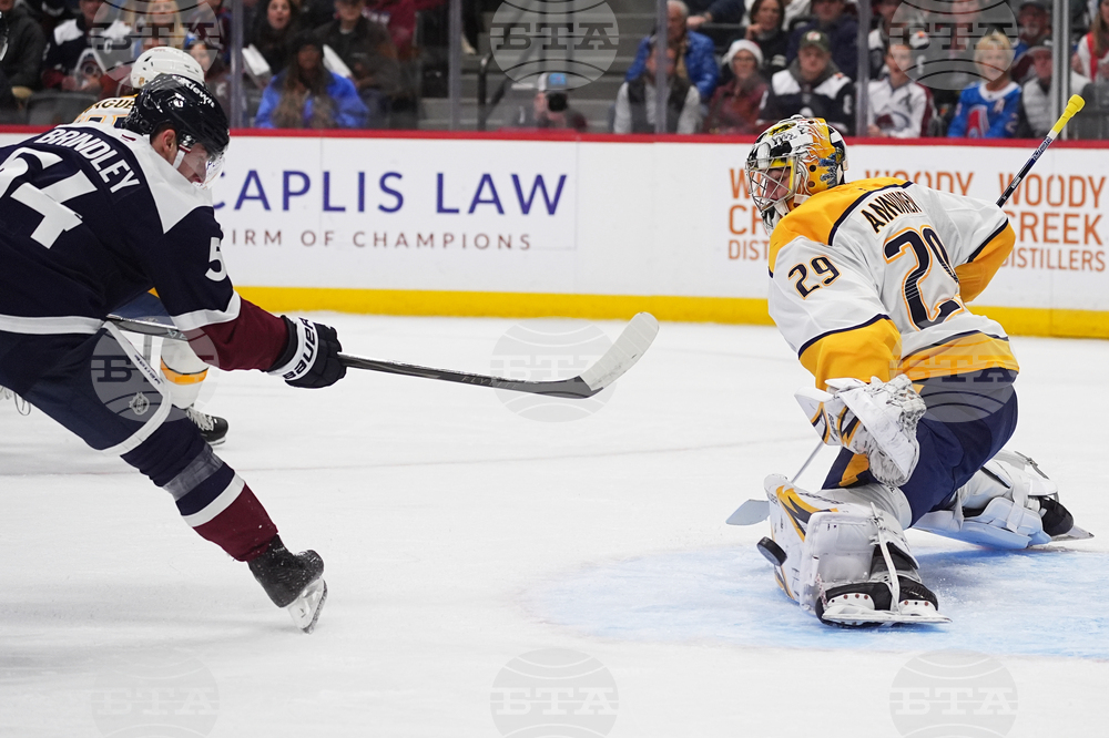 Predators Avalanche Hockey