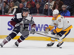 Predators Avalanche Hockey