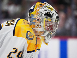 Predators Avalanche Hockey