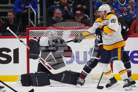 Predators Avalanche Hockey