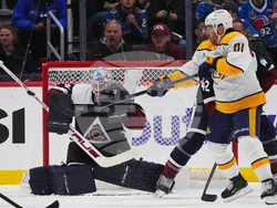 Predators Avalanche Hockey