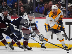 Predators Avalanche Hockey