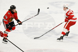 Red Wings Blackhawks Hockey