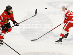 Red Wings Blackhawks Hockey