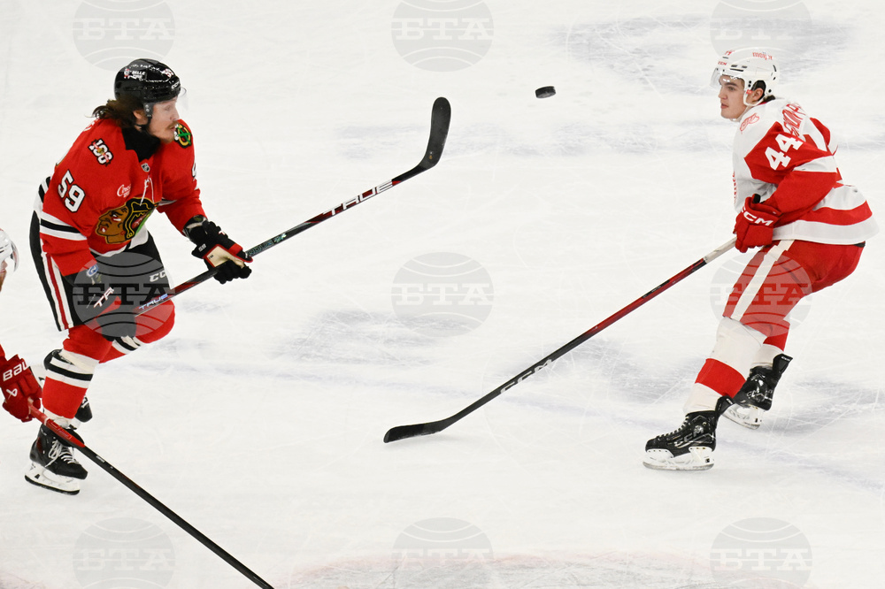 Red Wings Blackhawks Hockey