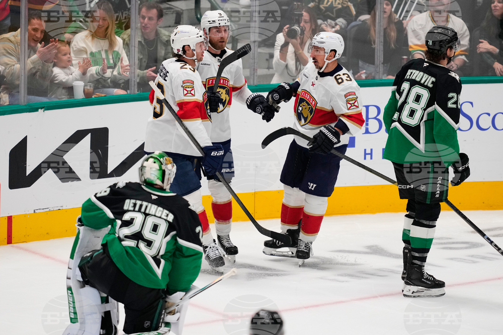 Panthers Stars Hockey