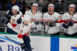 Panthers Stars Hockey