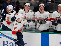 Panthers Stars Hockey