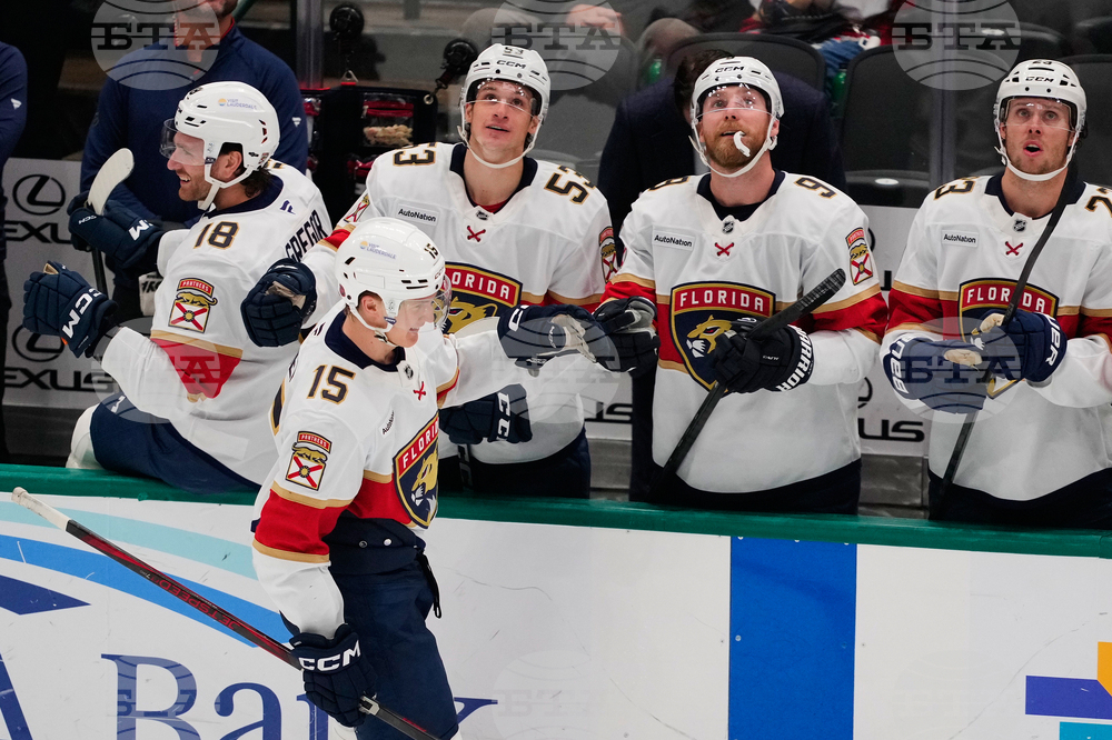 Panthers Stars Hockey