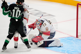 Panthers Stars Hockey