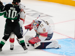 Panthers Stars Hockey