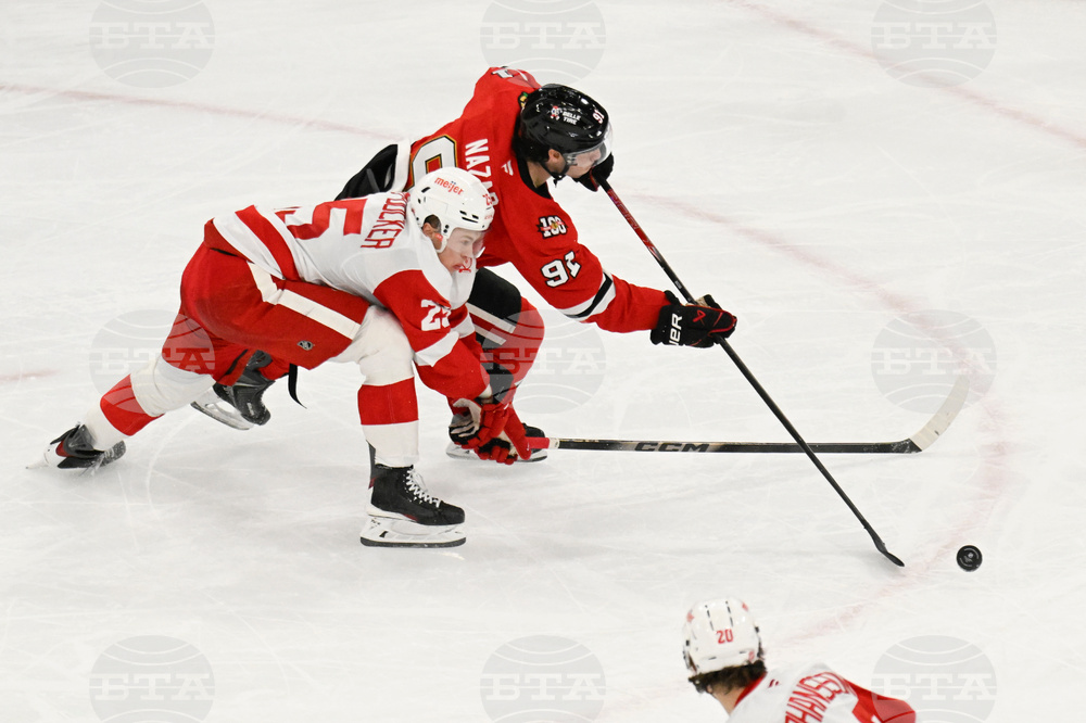 Red Wings Blackhawks Hockey