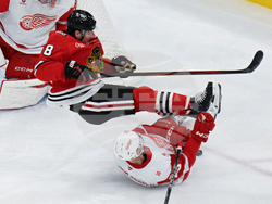 Red Wings Blackhawks Hockey