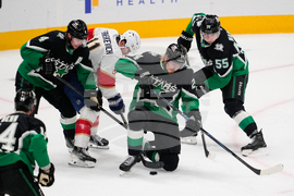 Panthers Stars Hockey