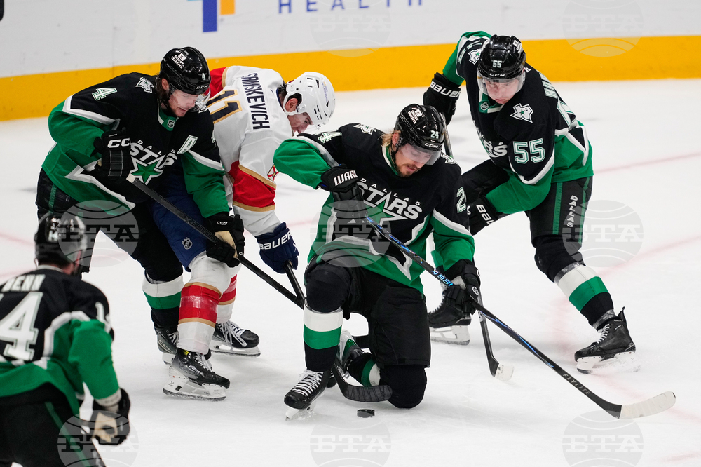 Panthers Stars Hockey