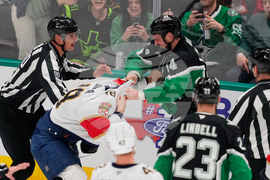 Panthers Stars Hockey