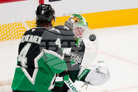 Panthers Stars Hockey