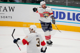 Panthers Stars Hockey