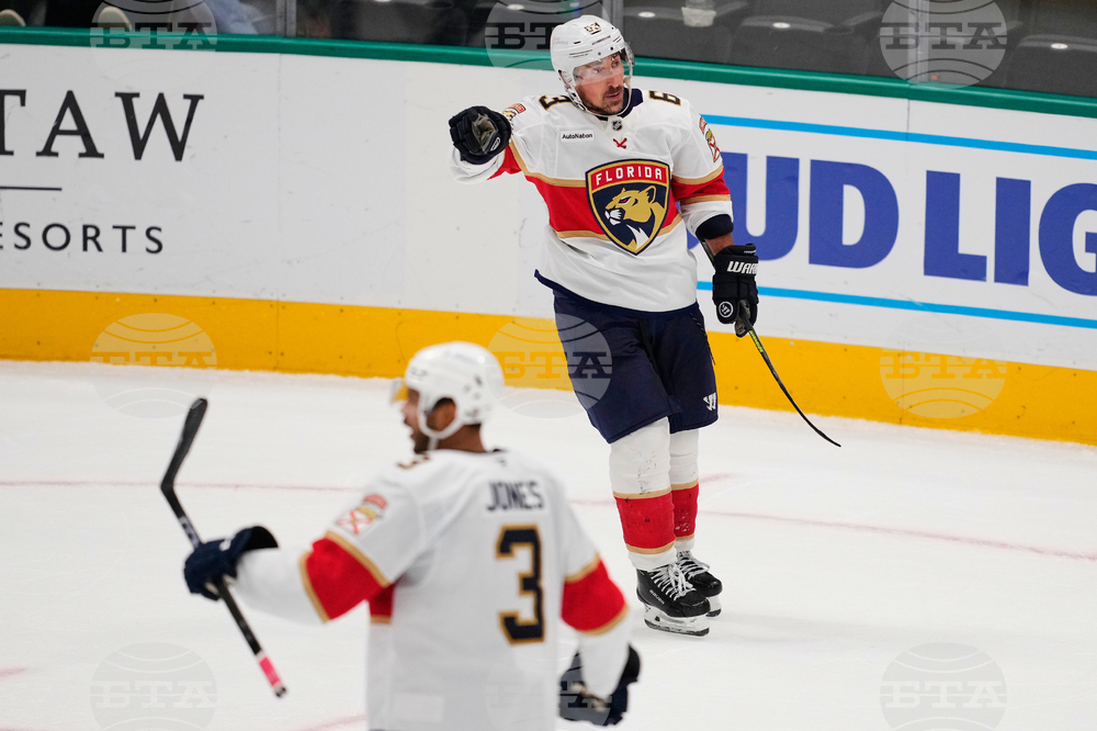 Panthers Stars Hockey