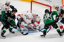 Panthers Stars Hockey