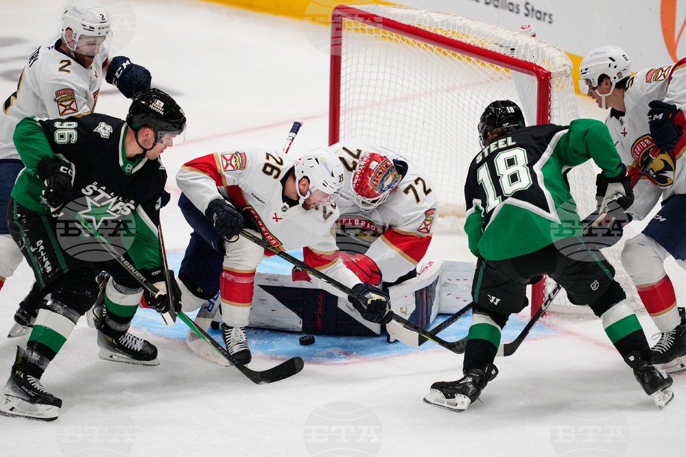 Panthers Stars Hockey