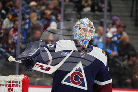 Predators Avalanche Hockey