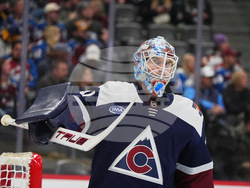 Predators Avalanche Hockey