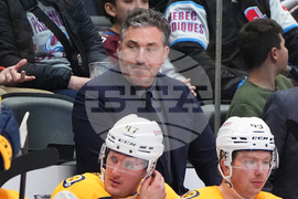 Predators Avalanche Hockey