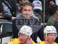 Predators Avalanche Hockey