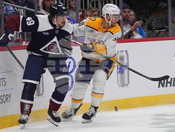 Predators Avalanche Hockey
