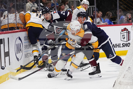 Predators Avalanche Hockey