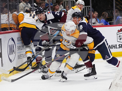 Predators Avalanche Hockey