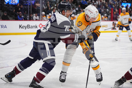 Predators Avalanche Hockey