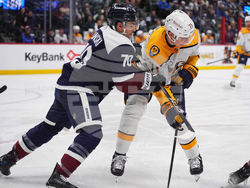 Predators Avalanche Hockey