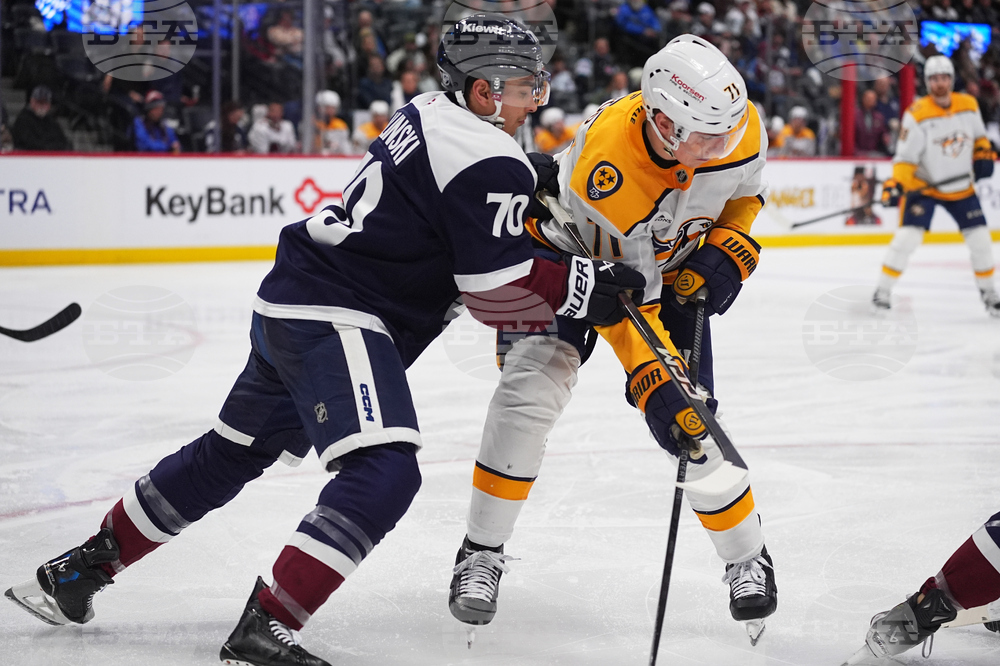 Predators Avalanche Hockey