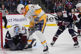 Predators Avalanche Hockey