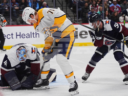 Predators Avalanche Hockey